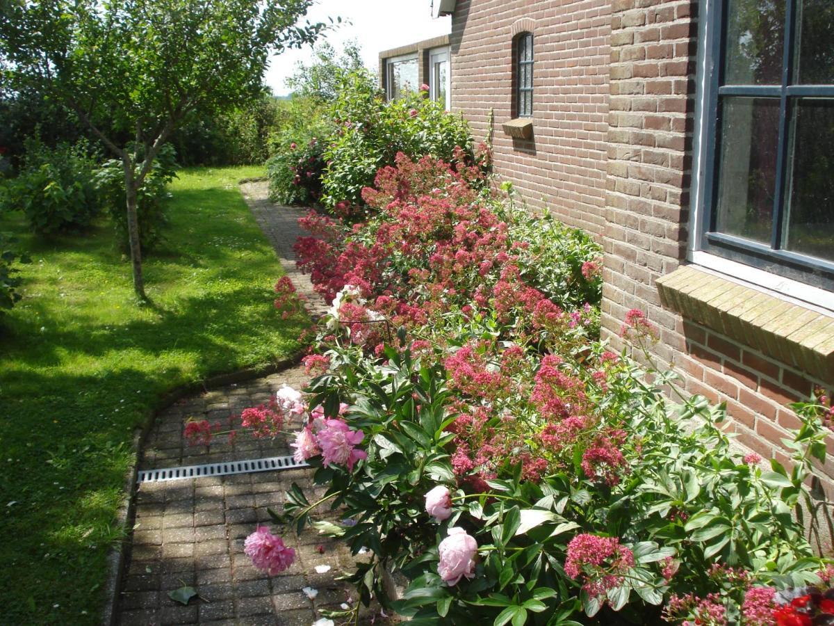 B&B Op De Vlakte Oosternijkerk Экстерьер фото