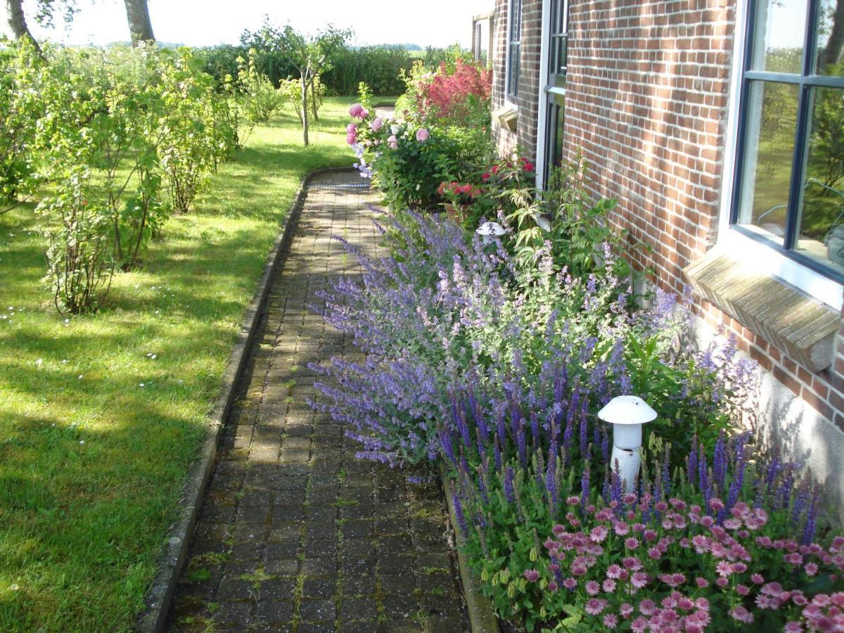 B&B Op De Vlakte Oosternijkerk Экстерьер фото